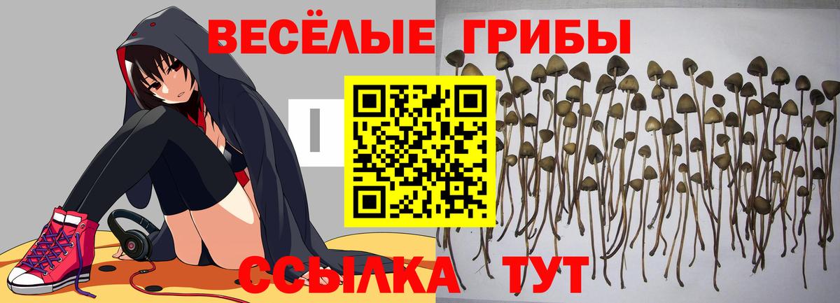 Псилоцибиновые грибы MAGIC MUSHROOMS Карасук