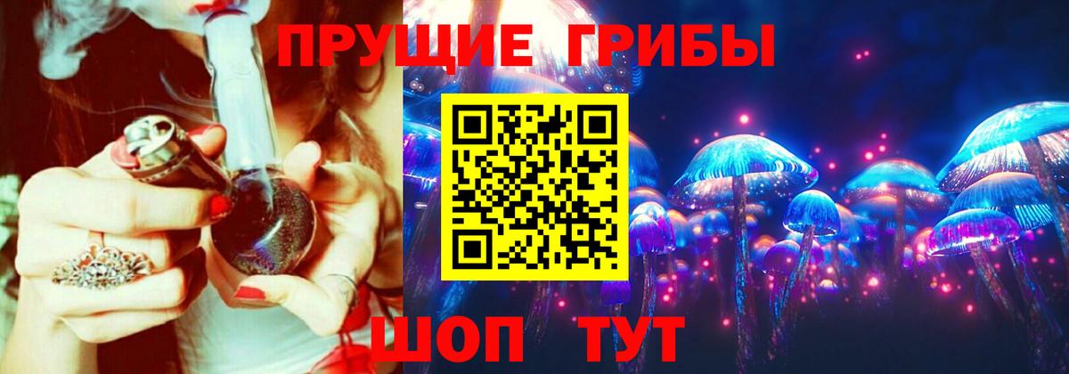 Псилоцибиновые грибы мицелий  Карасук 